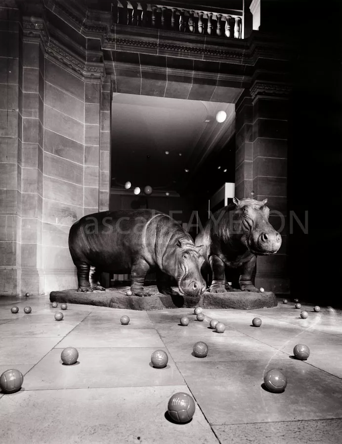 Museum König, Bonn, Allemagne, 1990