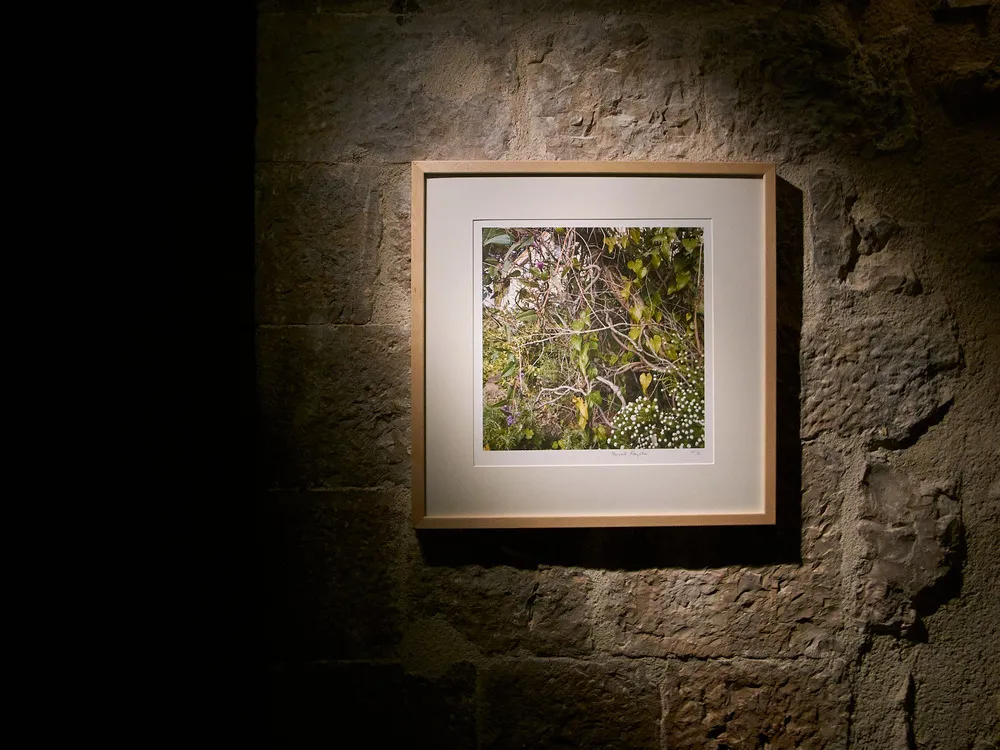 Salle des Templiers, Hyères, 2008