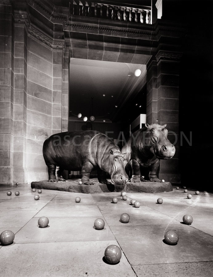 Museum König, Bonn, Allemagne, 1990